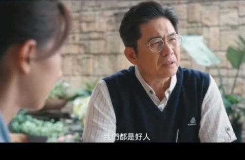 最好看的2019中文大全（最好看的2019中文大全电视剧有哪些）