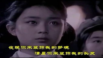 野花电影免费观看（野花 电影 2015）