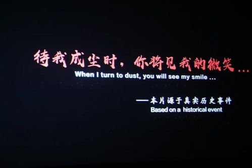 八佰(八佰观后感) 八佰(八佰观后感)