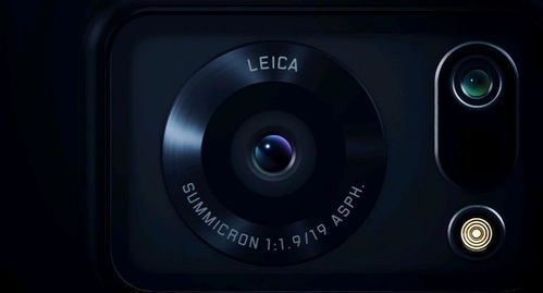 喜爱夜蒲歌1全部歌曲(喜爱夜蒲开头那歌叫什么) 喜爱夜蒲歌1全部歌曲(喜爱夜蒲开头那歌叫什么)