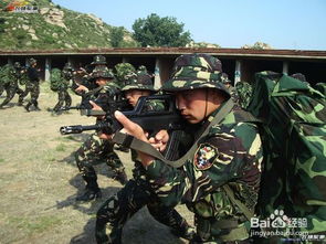 爱上特种兵电视剧(爱上特种兵电视剧百度网盘) 爱上特种兵电视剧(爱上特种兵电视剧百度网盘)