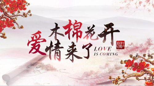 婚开二度欣欣向荣小说(婚开二度欣欣向荣52书库) 婚开二度欣欣向荣小说(婚开二度欣欣向荣52书库)