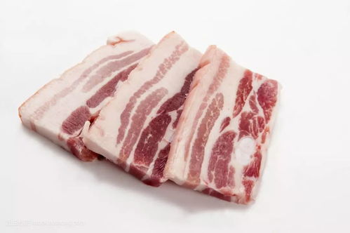 肥肉合集（肥肉合集大结局是什么）