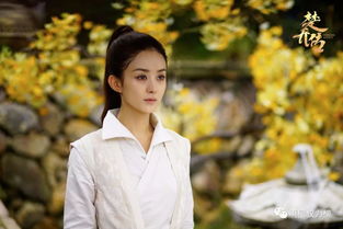 江淮依旧电视剧免费观看(江淮依旧电视剧百度云) 江淮依旧电视剧免费观看(江淮依旧电视剧百度云)