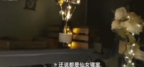 506寝室的灯灭了以后第9部分（夜晚506宿舍灯早就熄灭了）