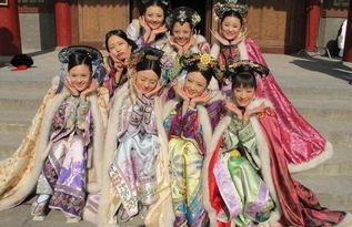 《甄嬛传》电视剧（甄嬛传电视剧全集完整版免费观看）