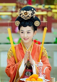 陆贞传奇电视剧在线观看（陆贞传奇在线观看全集免费）