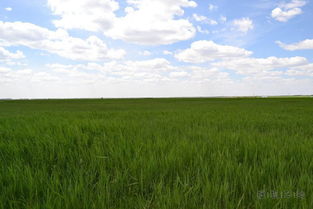 美女图片大全大图(草原美女图片大全大图) 美女图片大全大图(草原美女图片大全大图)