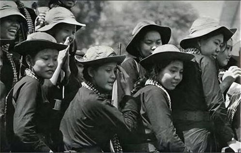 越南战争三片叫什么电视（越南战争3）