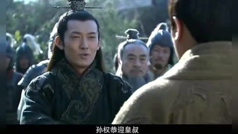 新三国95集全集免费观看电视剧（新三国在线观看）