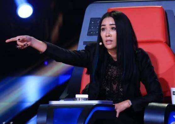 云朵那英对话那段视频（云朵那英对话那段视频播放）