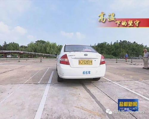 大雨天和驾校教练在车里(雨中练车和教练) 大雨天和驾校教练在车里(雨中练车和教练)