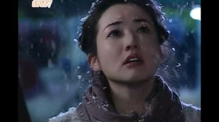 传闻中的七公主国语版（传闻中的七公主国语版）