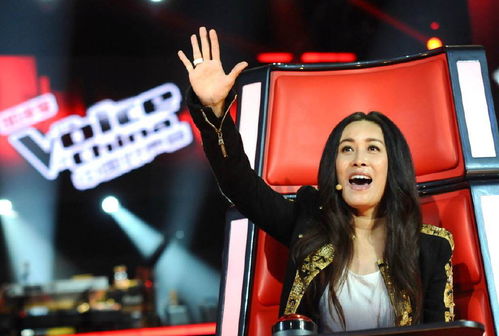 中国好声音第一季2期完整版（中国好声音第一季2期完整版高清）