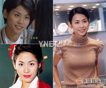 女明星们的按摩师免费阅读(女明星的往事) 女明星们的按摩师免费阅读(女明星的往事)