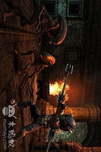 异形大战铁血战士进化(异形大战铁血战士进化下载) 异形大战铁血战士进化(异形大战铁血战士进化下载)