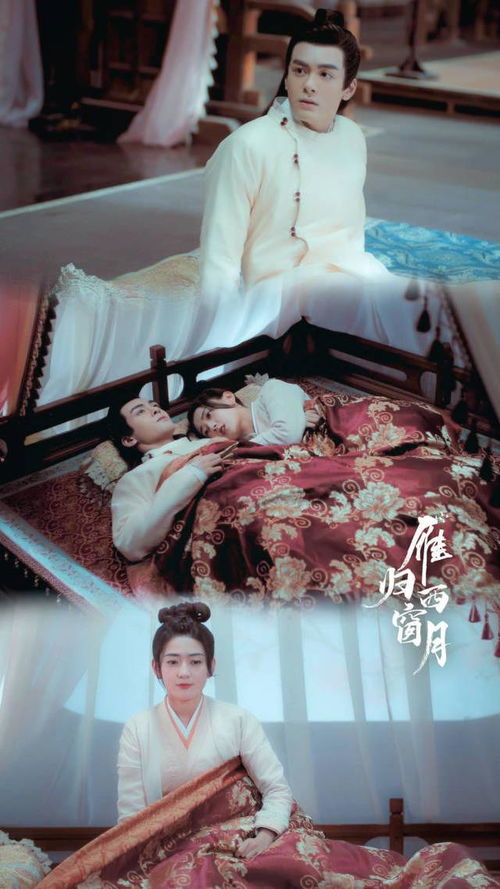 雁归西窗月免费观看电视剧全集（雁归西窗月免费观看电视剧全集高清）