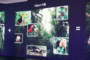 未来影院在线观看影片（未来影院电视剧）