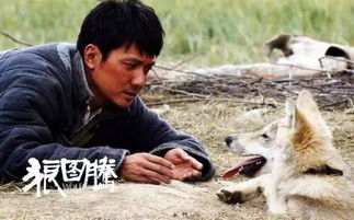 狼群在线观看中文（狼群在线观看中文电影）