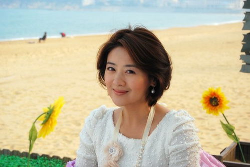 《漂亮主妇》经超（漂亮主妇大结局是什么）