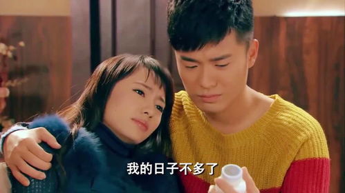 爱情公寓4电视剧(爱情公寓4第一集高清) 爱情公寓4电视剧(爱情公寓4第一集高清)