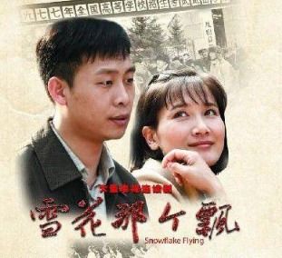 下乡知青电视剧大全（下乡知青年电视剧）