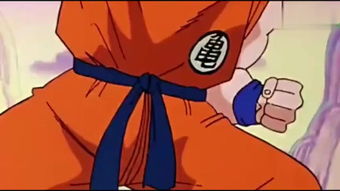 龙珠国语版(龙珠国语版普通话第一部) 龙珠国语版(龙珠国语版普通话第一部)