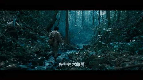 云南虫谷电视剧在线观看(云南虫谷电视剧在线观看超清) 云南虫谷电视剧在线观看(云南虫谷电视剧在线观看超清)