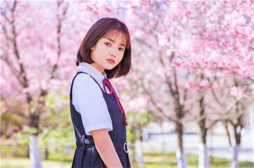 野花影视大全在线观看免费（野花影视大全在线观看免费）