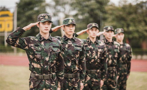 烈火军校电视剧免费（烈火军校在哪个平台播出）