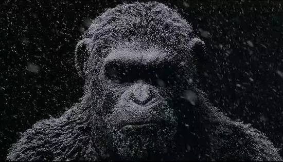 猩球崛起3结局(猩球崛起3结局人类灭亡了吗) 猩球崛起3结局(猩球崛起3结局人类灭亡了吗)