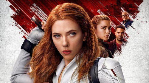 黑寡妇的简单介绍