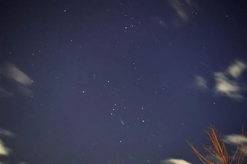 流星雨(流星雨的英文) 流星雨(流星雨的英文)