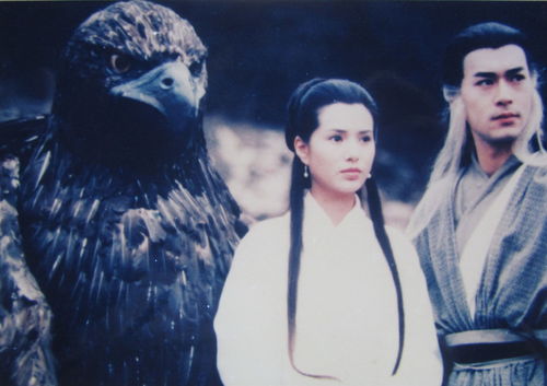 神雕侠侣官网(神雕侠侣官方网站) 神雕侠侣官网(神雕侠侣官方网站)