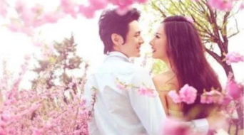 亲爱的宋小姐100集剧情介绍（亲爱的宋小姐100集剧情介绍大结局）