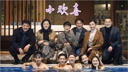 电视剧小欢喜免费观看完整版（电视剧小欢喜免费观看完整版在哪里看）