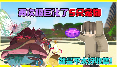 我的世界神奇宝贝(我的世界神奇宝贝怎么极巨化) 我的世界神奇宝贝(我的世界神奇宝贝怎么极巨化)