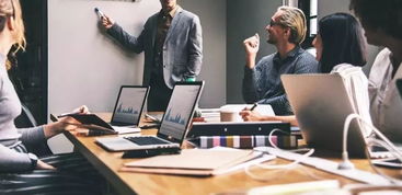 新员工3（新员工3主演是谁）