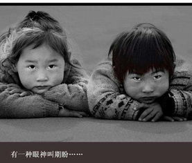 爸爸回来了第三季（爸爸回来了第三季完整）