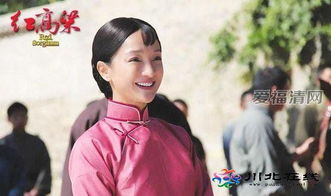 红高粱电视剧全集60集（红高粱电视剧全集60集免费播放第十六集红高梁）