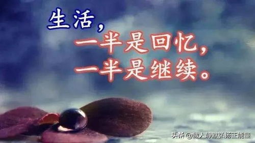 人生（人生感悟的经典句子）