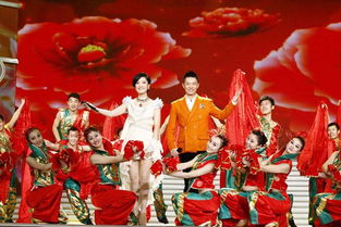 安徽卫视(安徽卫视春晚) 安徽卫视(安徽卫视春晚)