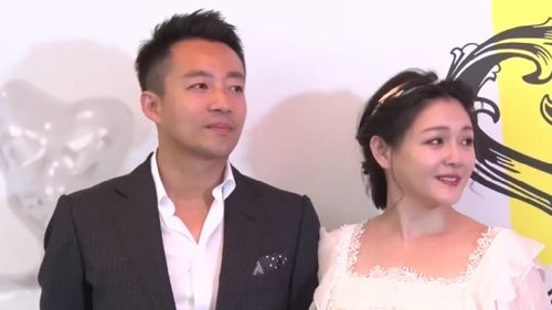 向太评价大s离婚(大s想离婚) 向太评价大s离婚(大s想离婚)