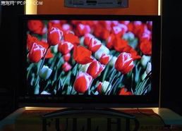 1080p高清电视(1080p高清电视免费版) 1080p高清电视(1080p高清电视免费版)