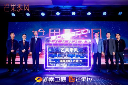 湖南卫视在线直播电视台（湖南卫视在线直播高清节目表）