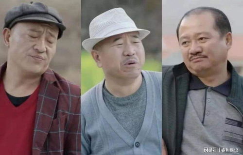 乡村爱情13全集免费观看(乡村爱情13全集免费观看高清) 乡村爱情13全集免费观看(乡村爱情13全集免费观看高清)