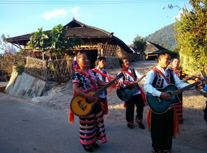 《奔跑吧12》茶马古道篇（奔跑吧跑茶加盟电话）