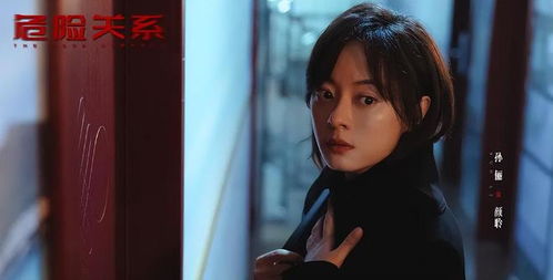 免费观看电视剧（免费观看电视剧危险关系）