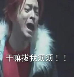 专横点火(叔宠)（专横点火百度云）