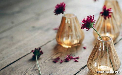 美丽的水蜜桃2最经典的一句的简单介绍 美丽的水蜜桃2最经典的一句的简单介绍